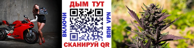 Канабис Ganja Бавлы