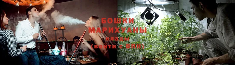 Каннабис SATIVA & INDICA  Бавлы 